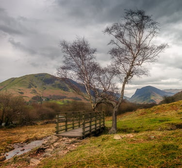 A bridge over a stream in Buttermere ©Mick Howard
