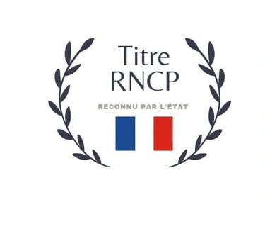a logo for a french diplôme