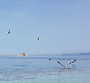 spiaggia le Ghiaie mare Portoferraio