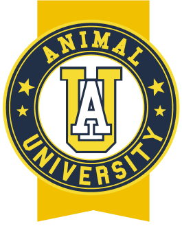 Bouton pour envoyer sur le site d'Animal University