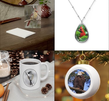 bird lover's boutique