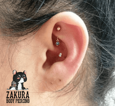 piercing à pau rook conch