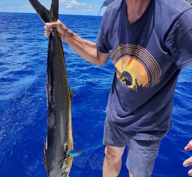 mahi mahi sailing adventure