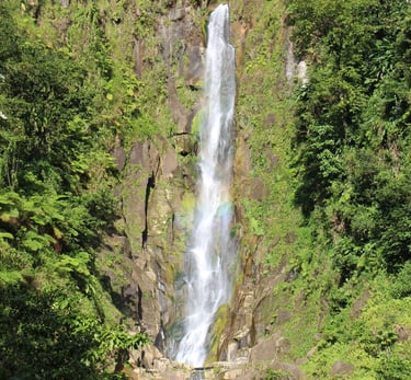 dominica sailing adventure