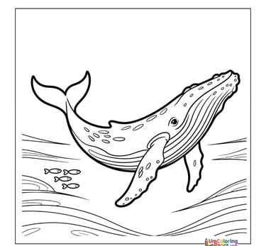 whale coloring page for kids