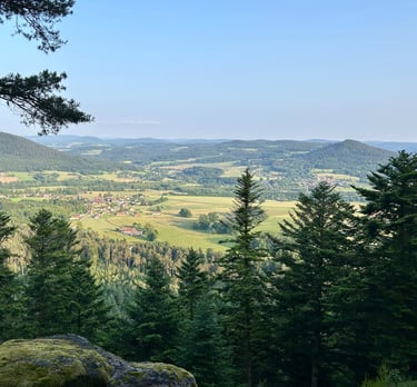 paysage nature des vosges