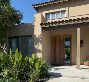 Lagartos frente de casa