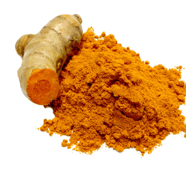 Curcuma ( Turmeric )  Dried Curcuma fingers  Curcuma Powder