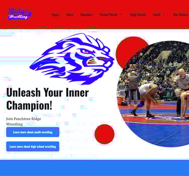 a youth wrestling program website