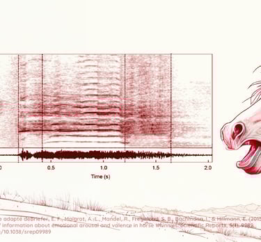 emotions cheval etude theorie