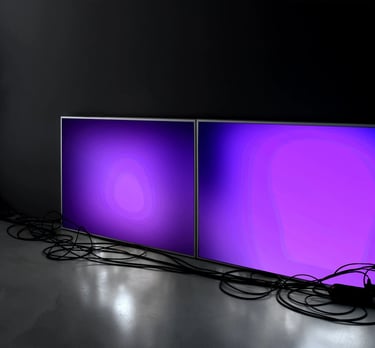 digital art, video installation,  joanna wlaszyn