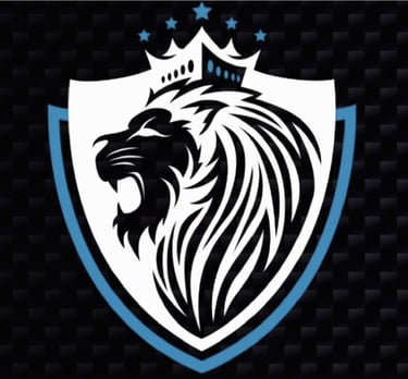 logo professionnel de seyf sécurité service de sécurité en Bretagne