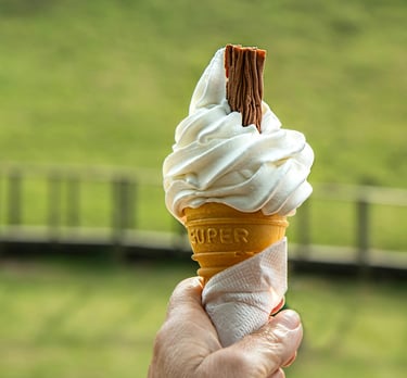 Hire ZAKS Pud Pod ice cream van to enjoy an award winning soft serve whippy ice cream like this