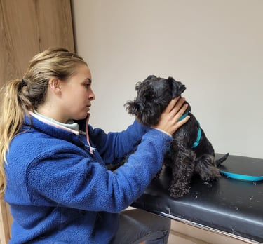 Trudi chez son ostéopathe