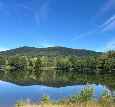 les étangs du moulin à la chapelle devant bruyères dans les vosges