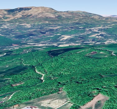 potresti aumentare le dimensioni dell'immagine?