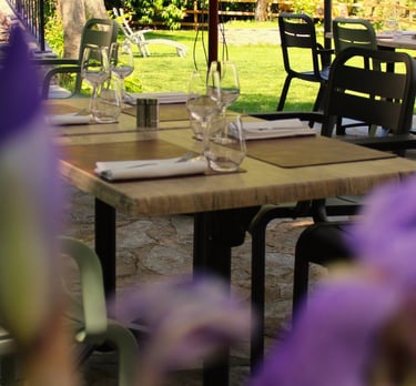 La terrasse et son jardin , terrasse ombragée, restaurant de village, restauranta vescovato, grillad