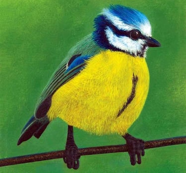 Detailed painting of a Blue Tit bird