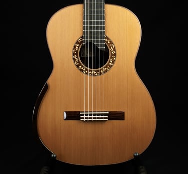 guitarra