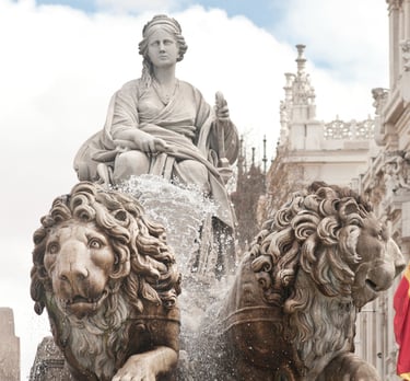 Castillo Calvín Abogados Madrid