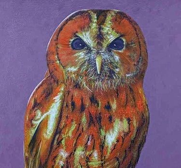 Bird painting of a Tawny Owl