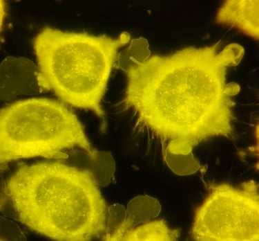 Tratamiento biologico