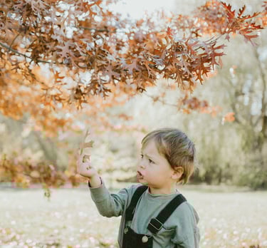 a boy playing with autum leaves in a lifestyle photo session in Adelaide Hills