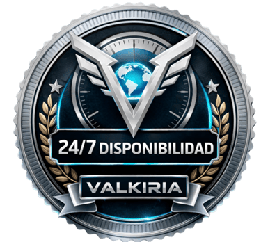 Disponibilidad 24/7 la empresa Valkiria Elite Global service - Control de accesos y Reformas integrales