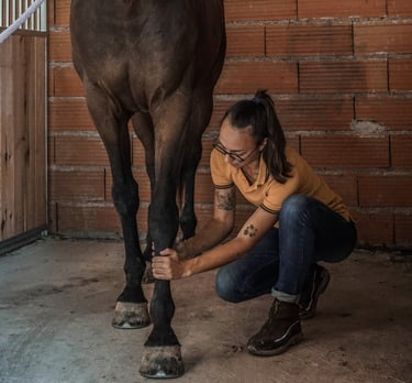 Zoé Gavoille massage animalier