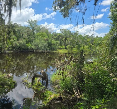 River at Little Big Econ Trail