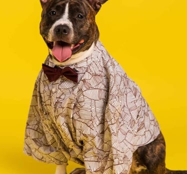 Perro con camisa de vestir minimalista y moño, ropa de diseñador para mascotas.