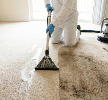 Tecnico lavando una alfombra en Ibague