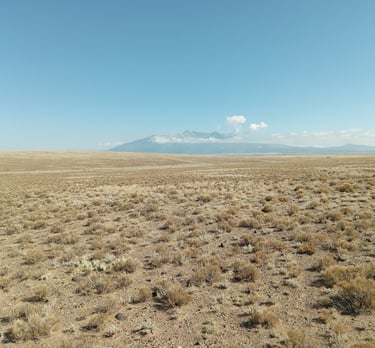 a field with a mountain in the background