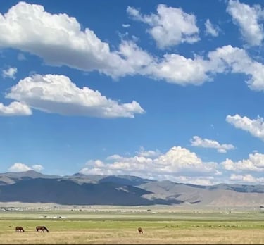a horse grazing in a field with mountains in the background