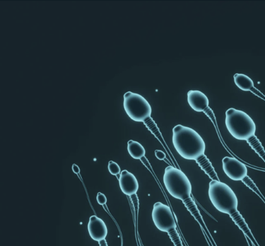 Blue microscopic illustration of human sperm cells swimming to represent male fertility and reproductive health.