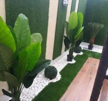 نباتات الزينة والأشجار