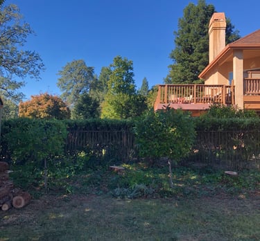 grassy yard with wood fence in front of two-story house