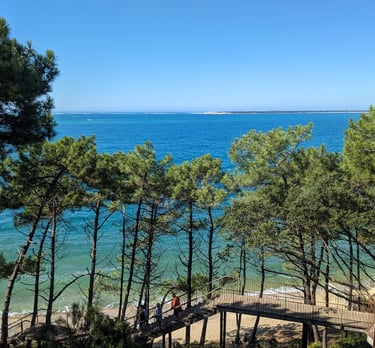 Atlantic ocean, beach, pine trees from La Corniche
