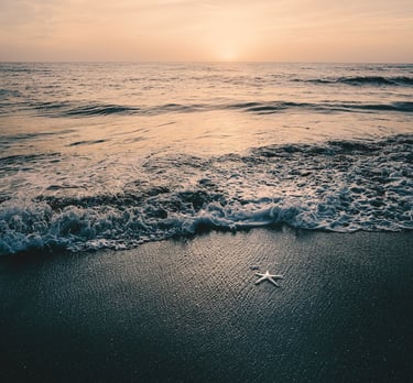 beach in monterey california