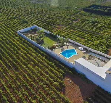 Exclusive pool villa by the sea on a holiday curated by Francesco Travels Villas Weddings & Events