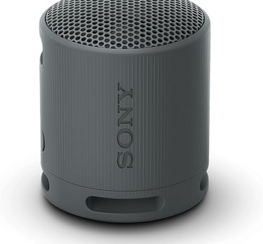 sony srs-xb100