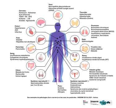 PESTICIDES SANTÉ MALADIES TROUBLES