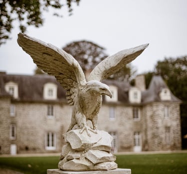 Faucon du Château de La Beauvais