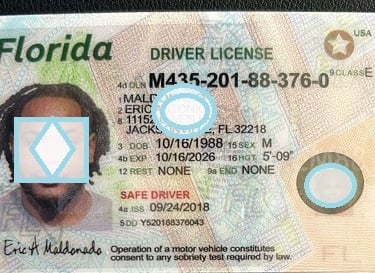 fake id