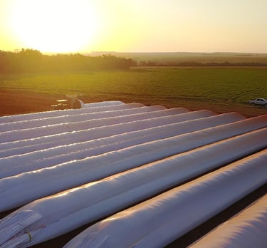 Sellador para Silo Bolsa - Seal SB