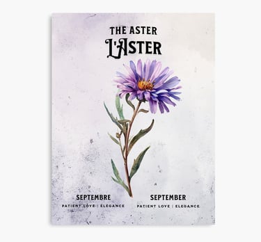 aster