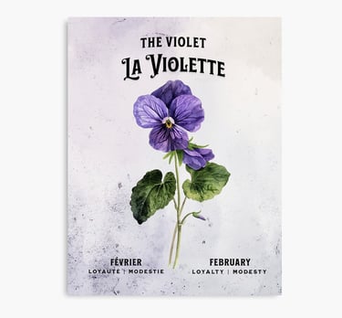 violette
