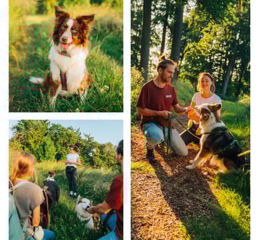 Alltagstraining für Hund und Mensch in der Hundeschule Takoda in Göttingen