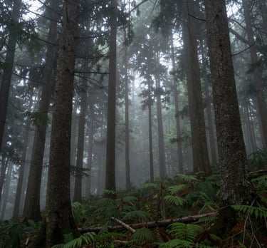 man carrying guitar walking on train rails