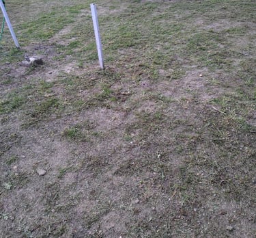 DESBROCE DE PARCELAS